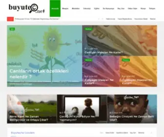 Buyutec.net(Buyutec) Screenshot