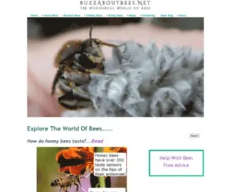 Buzzaboutbees.net(All about bees) Screenshot