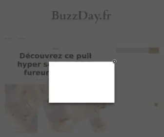 Buzzday.fr(Buzzdays : actualité) Screenshot