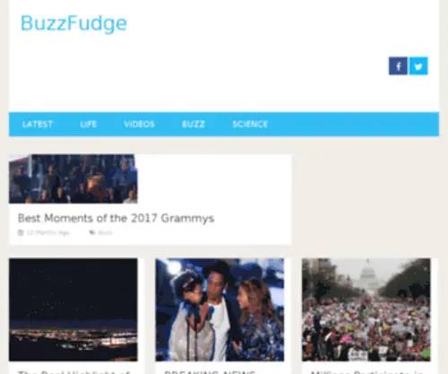 BuzzFudge.com(Tasty Stories Served Fresh Every Day) Screenshot