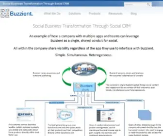 Buzzient.com(Enterprise Social CRM) Screenshot