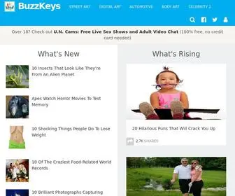 Buzzkeys.com(Buzzkeys) Screenshot