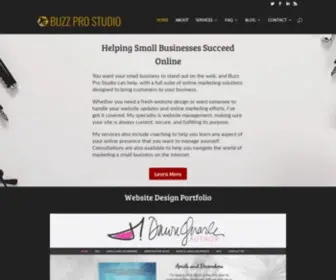 Buzzprostudio.com(Buzz Pro Studio) Screenshot
