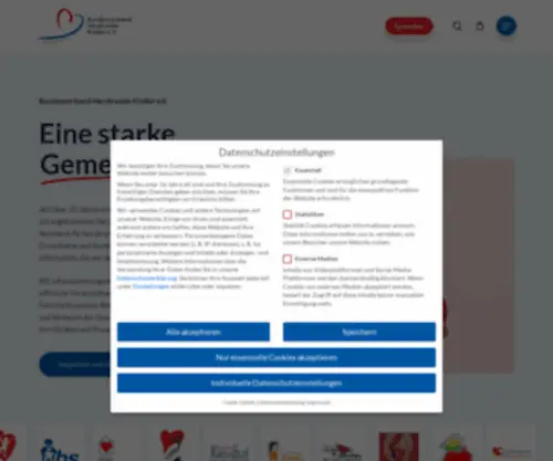 BVHK.de(Bundesverband Herzkranke Kinder e.V) Screenshot