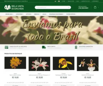 Bvorchids.com.br(Bela Vista Orchids) Screenshot