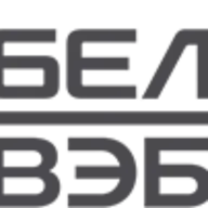 BVS.by Logo