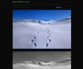 BW-Color.com(▷ Black & White or Color) Screenshot
