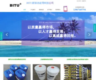 BWGBH.com(碧涂水处理科技(上海)有限公司) Screenshot