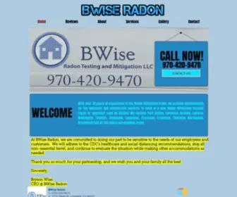 Bwiseradon.com(BWise Radon) Screenshot