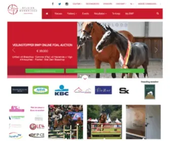 BWP.be(Belgian Warmblood) Screenshot