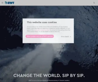 BWT-Filter.com(BWT Filter) Screenshot