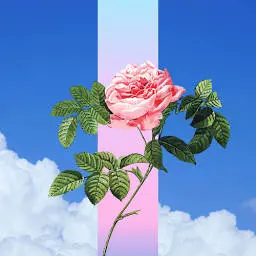 Bymathilda.com Favicon