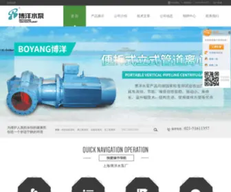 Bypumps.com(上海博洋水泵厂) Screenshot