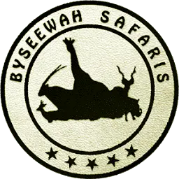 Byseewah.com Logo