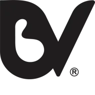 BYVprofesional.cl Logo