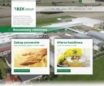 BZKgroup.pl(BZK Group) Screenshot