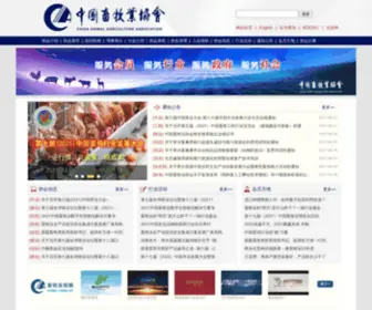 Caaa.org.cn(中国畜牧业协会) Screenshot