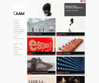 Caam.net(Centro Atlántico de Arte Moderno) Screenshot