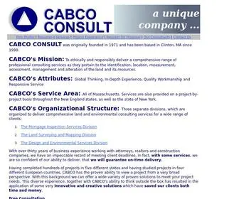 CABCOncept.com(Chauffeur) Screenshot