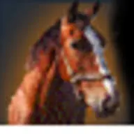 Cabalgatasperu.com Favicon