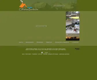 Cabaniasbariloche.com(Alquiler Cabañas en Bariloche) Screenshot
