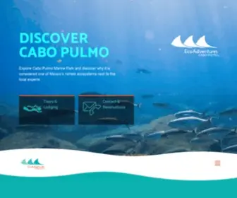 Cabopulmoecoadventures.com(Tours y Hospedaje en Cabo Pulmo) Screenshot