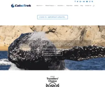 Cabowhaletrek.com(Whale watching in cabo with Cabo Trek) Screenshot