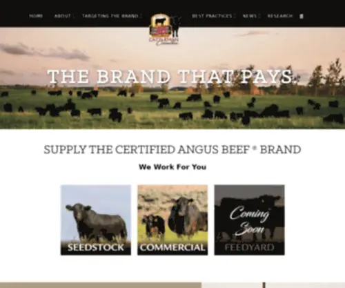 Cabpartners.com(CAB Cattle) Screenshot