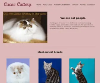 Cacaocattery.com(CACAO CATTERY) Screenshot