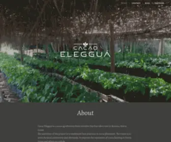 Cacaoeleggua.com(Cacaoeleggua) Screenshot