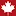 CaCD.ca Favicon