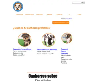 Cachorroscachorrosymascachorros.com(Venta Perros Cachorros) Screenshot