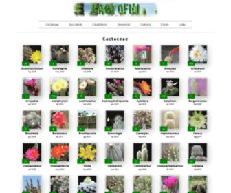 Cactofili.org(Comunità cactofila di amatori che condividono foto e passione per cactus e succulente) Screenshot