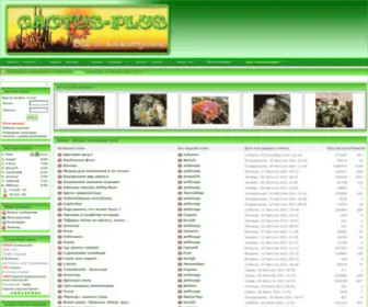 Cactus-Plus.com(Кактусы) Screenshot