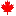 Cadns.ca Logo