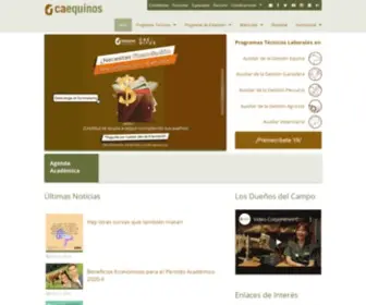 Caequinos.edu.co(HOME PRINCIPAL) Screenshot