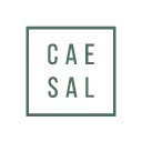 Caesalcasa.com.br Logo