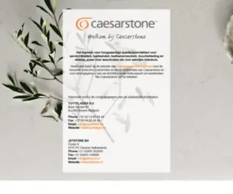 Caesarstone.nl(Caesarstone) Screenshot
