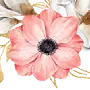 Caglefuneralhome.com Favicon