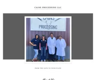 Cainsprocessing.com(CAINS PROCESSING LLC) Screenshot