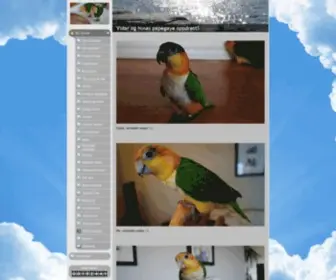 Caique.biz(Min forside) Screenshot