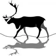 Cairngormreindeer.co.uk Favicon