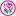 Cakeflora.co.za Favicon