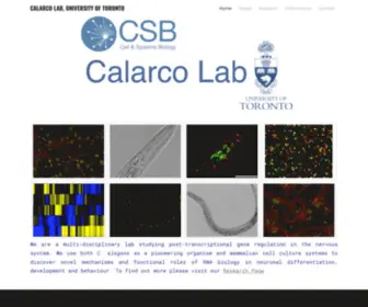 Calarcolab.ca(CALARCO LAB) Screenshot