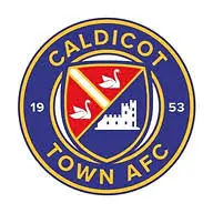 Caldicottownafc.com Favicon