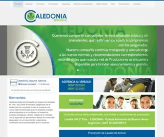 Caledoniaseguros.com.ar(Caledonia Seguros) Screenshot