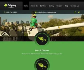 Calgarytreeexperts.ca(Insured & certified arborists from Calgary Tree Experts Inc) Screenshot