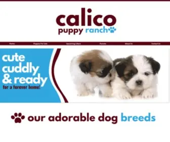 Calicopuppyranch.com(Calico Puppy Ranch) Screenshot