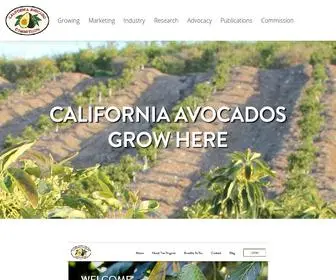 Californiaavocadogrowers.com(California Avocado Commission) Screenshot