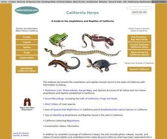 Californiaherps.com(California Herps) Screenshot
